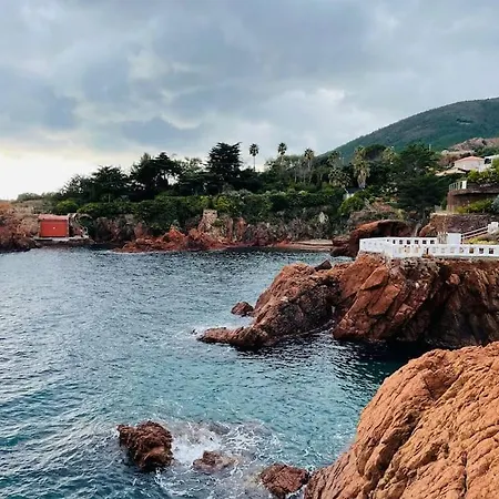Vue Avec Piscine Chauffee